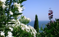 世界登山青年导师生态保护项目第三阶段成果公示，世界登山协会