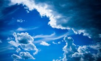 世界杯志愿者长期服务积分兑换职业培训对接，2021世俱杯志愿者招募