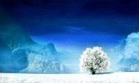 世界登山纪录挑战赛：选手在复杂气候中完成挑战，世界登山史十大惨案