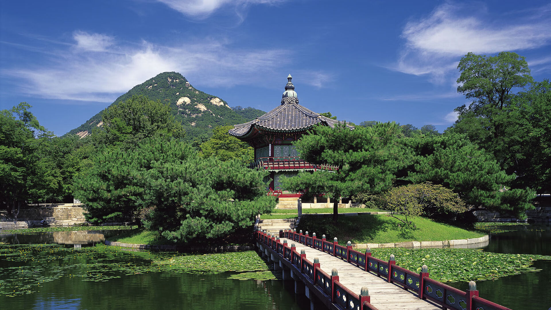 世界举重康复名师驻点服务第40站成果回放上线,世界举重选手